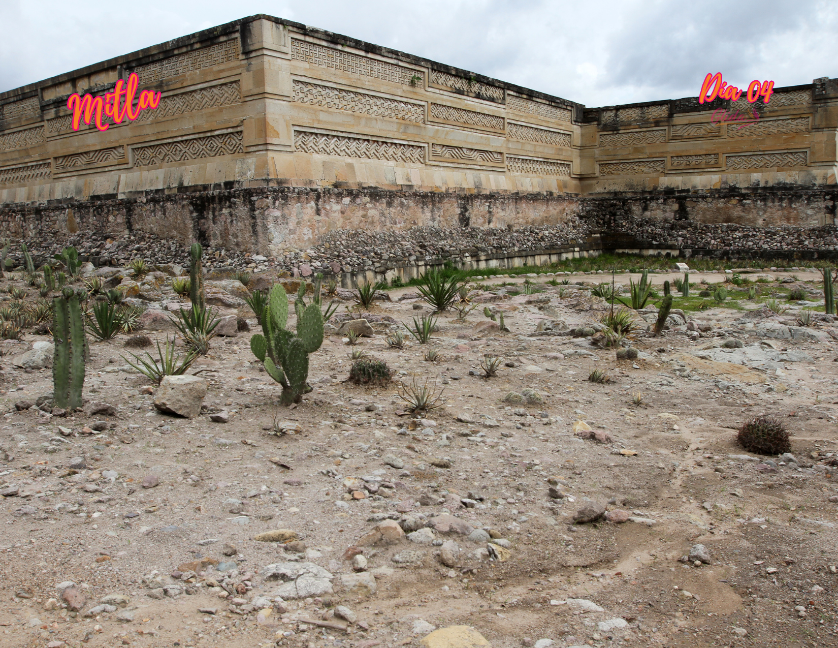 Vamos a Oaxaca