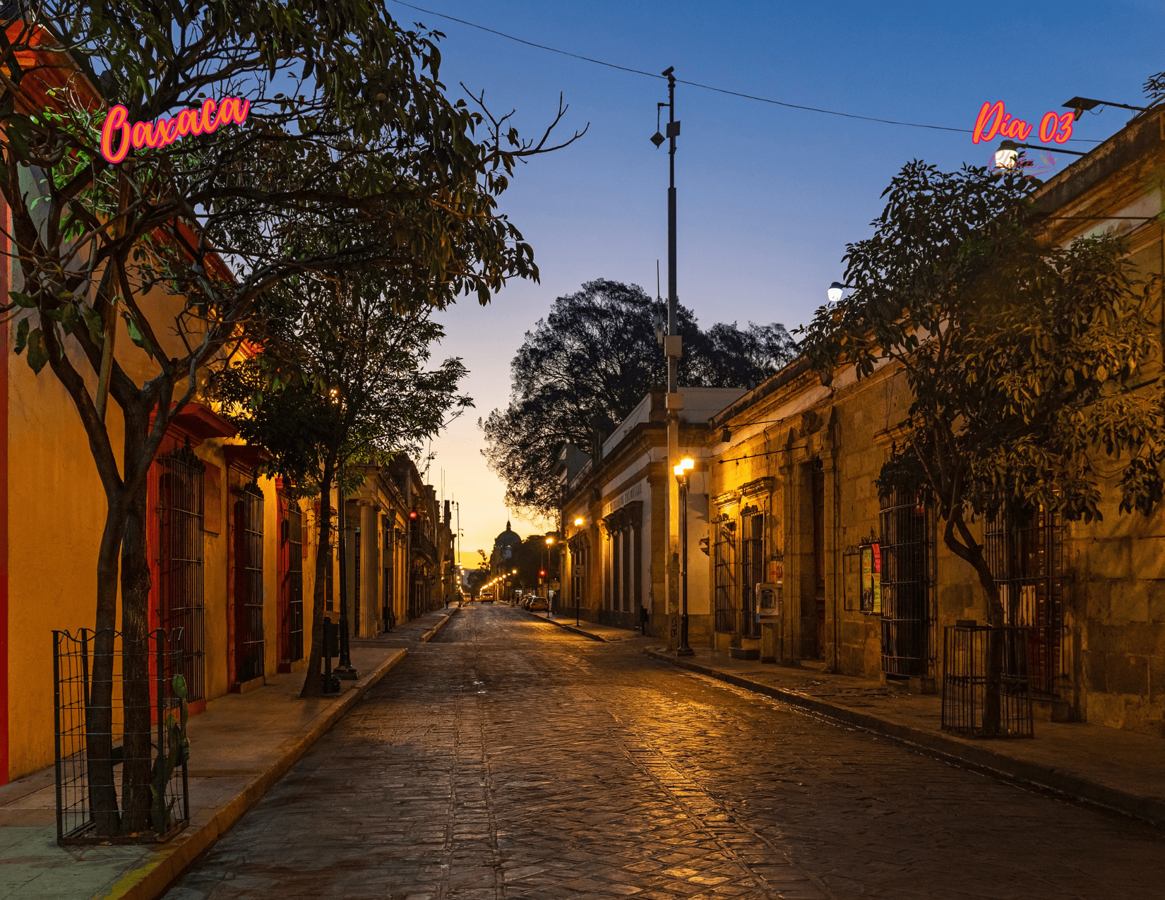 Vamos a Oaxaca