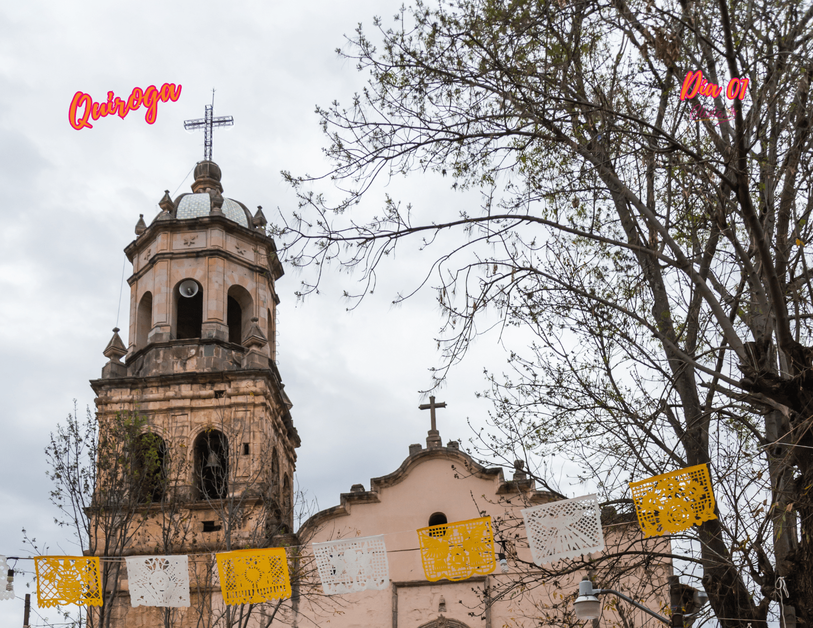 Santuario de la Mariposa Monarca